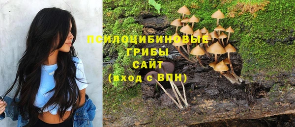 ГАЛЛЮЦИНОГЕННЫЕ ГРИБЫ Беломорск