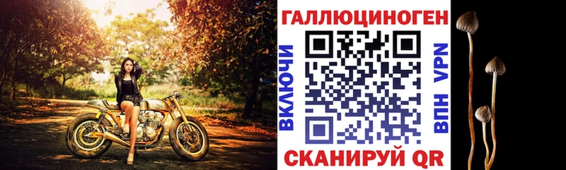 Псилоцибиновые грибы GOLDEN TEACHER  Кубинка 